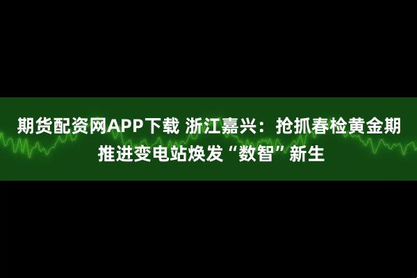 期货配资网APP下载 浙江嘉兴：抢抓春检黄金期 推进变电站焕发“数智”新生