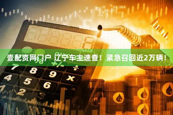 壹配资网门户 辽宁车主速查！紧急召回近2万辆！